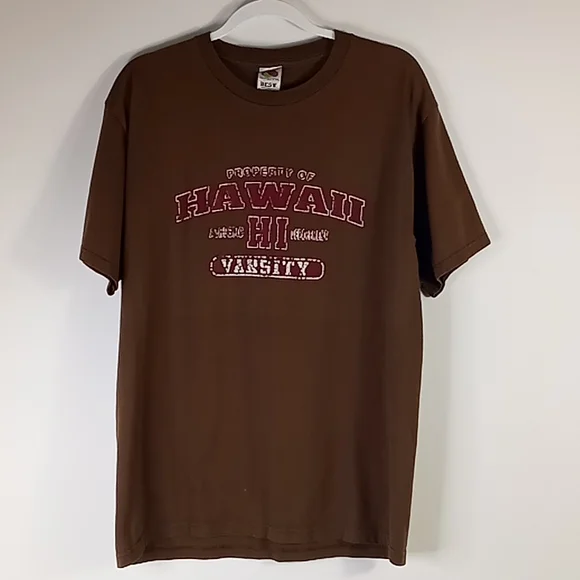 Hawaii Variety Distressed Brown Tshirt Size L - Picture 4 of 12